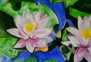 water Lilies